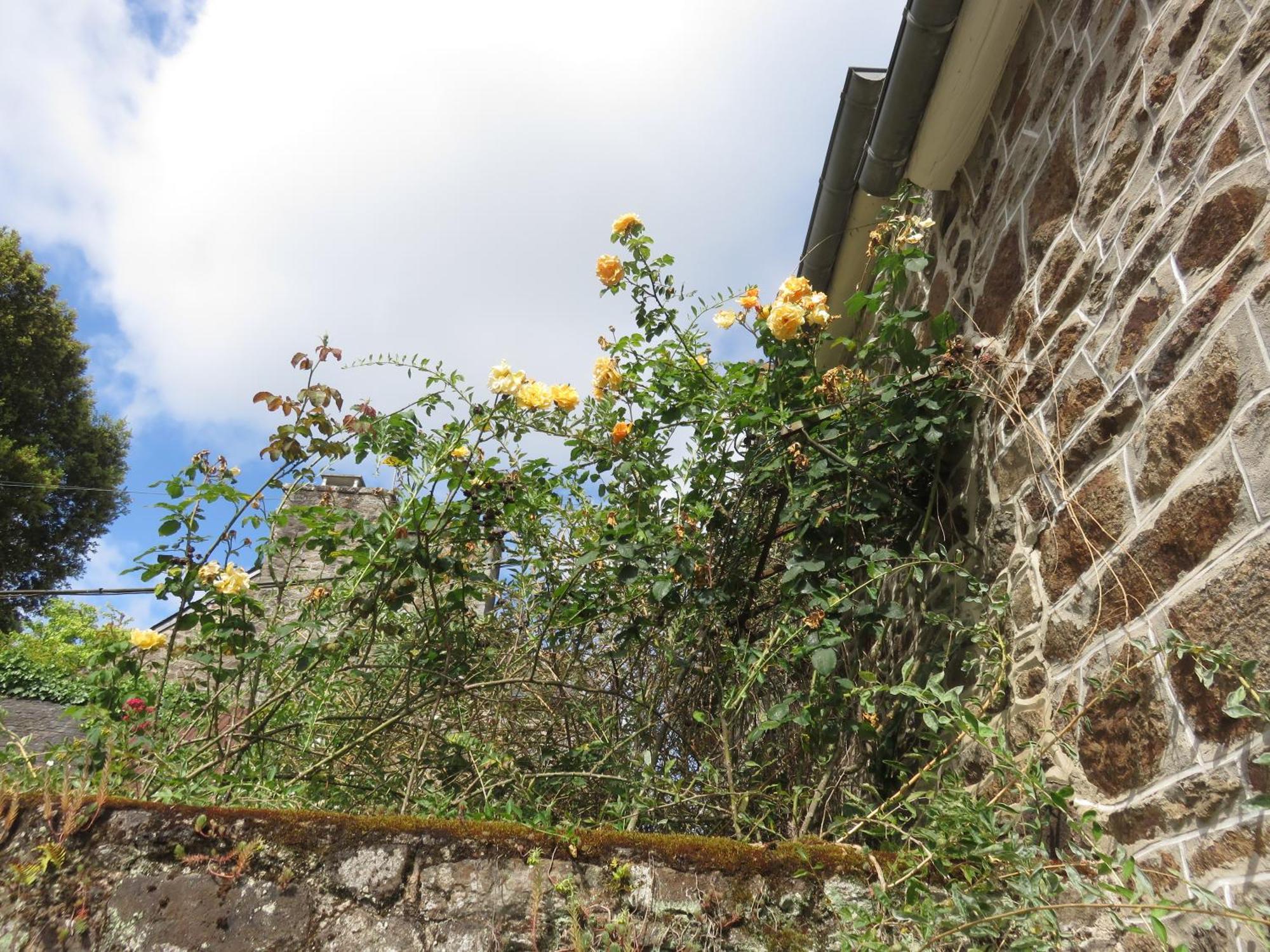 Bed and Breakfast Le Jardin A Mordreuc Pleudihen-sur-Rance Екстер'єр фото